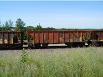 CN 90368 is new to RRPA!